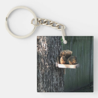 Squirrel Key Ring
