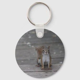 Squirrel keychain