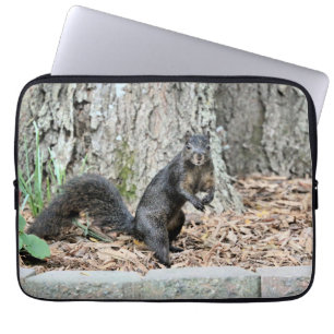 Squirrel    laptop sleeve