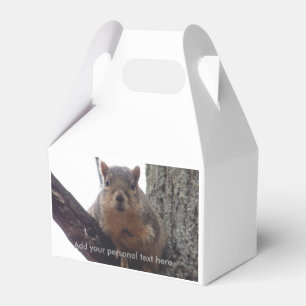 Squirrel looking at your gift box