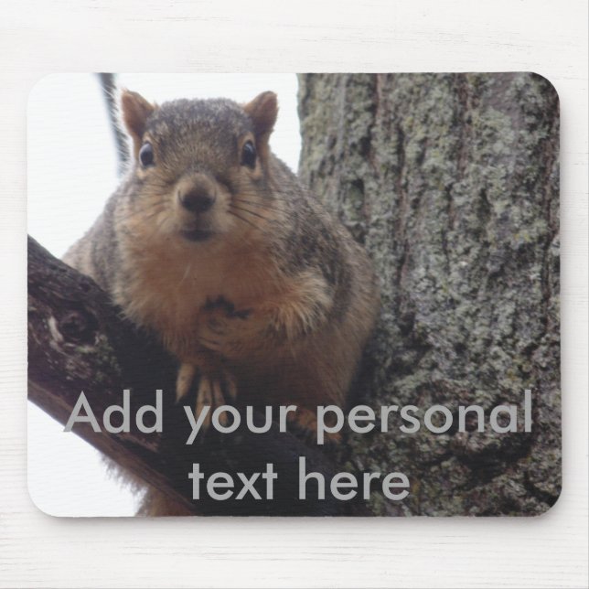 Squirrel looking at your mouse pad (Front)