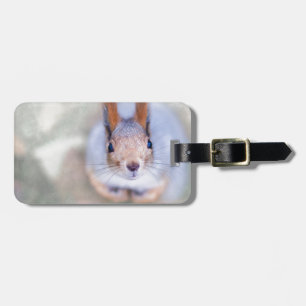 Squirrel looks at you from the bottom up luggage tag