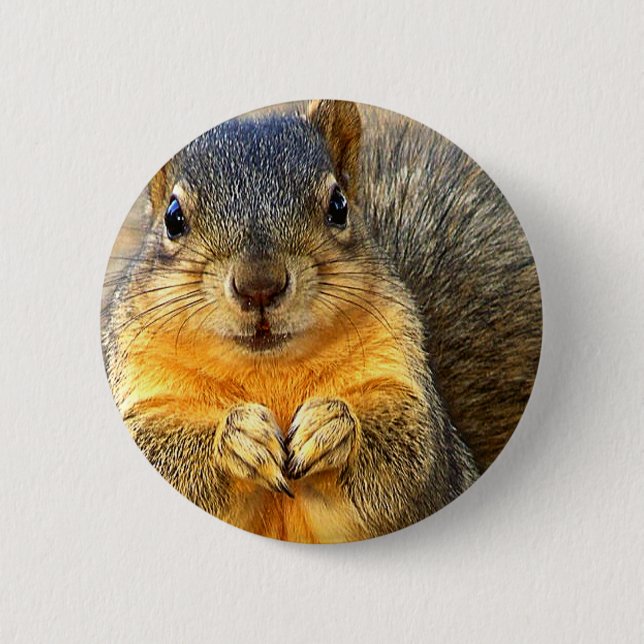 Squirrel Love_ 6 Cm Round Badge (Front)