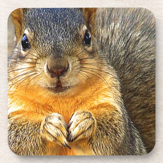 Squirrel Love_ Coaster (Front)
