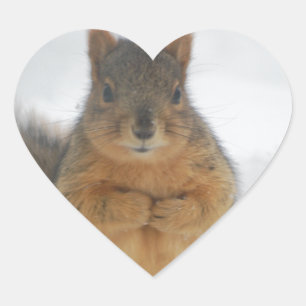 Squirrel Love Heart Sticker