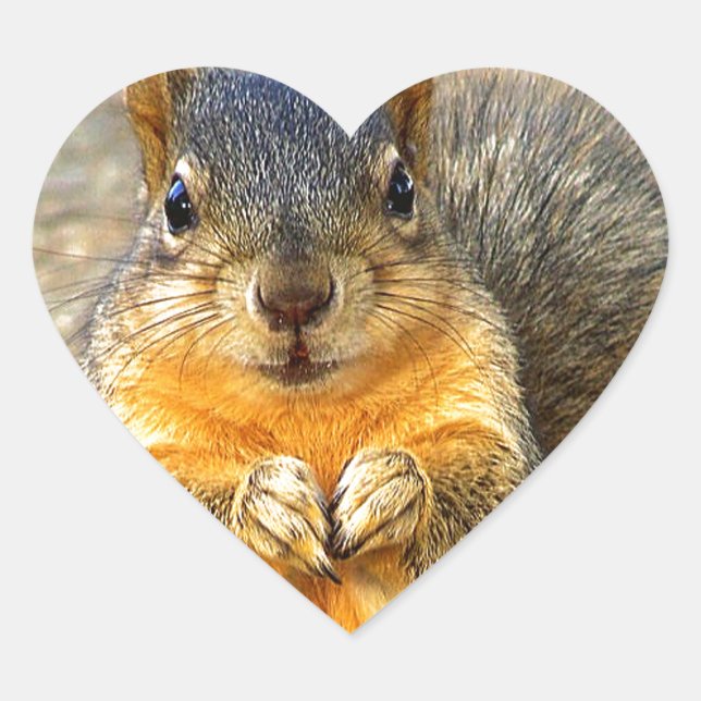 Squirrel Love_ Heart Sticker (Front)
