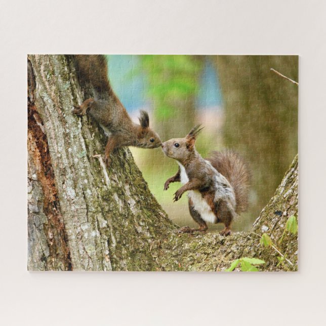 Squirrel Love, Jigsaw Puzzle (Horizontal)