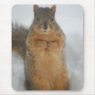 Squirrel Love Mouse Mat