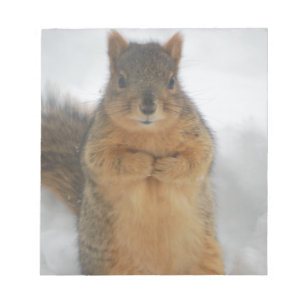 Squirrel Love Notepad