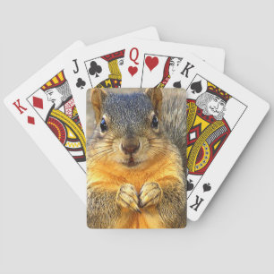 Squirrel Love_ Playing Cards