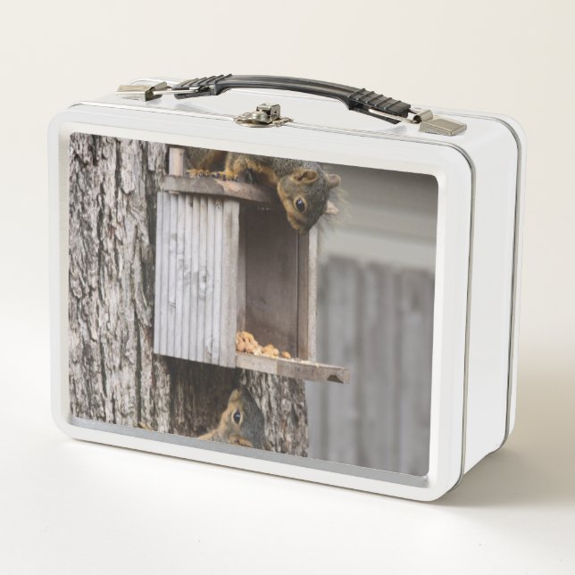 Squirrel Lunch Box (Front)