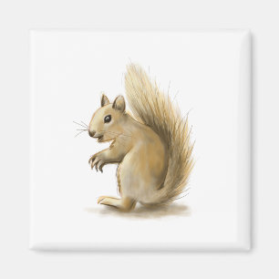 Squirrel Magnet