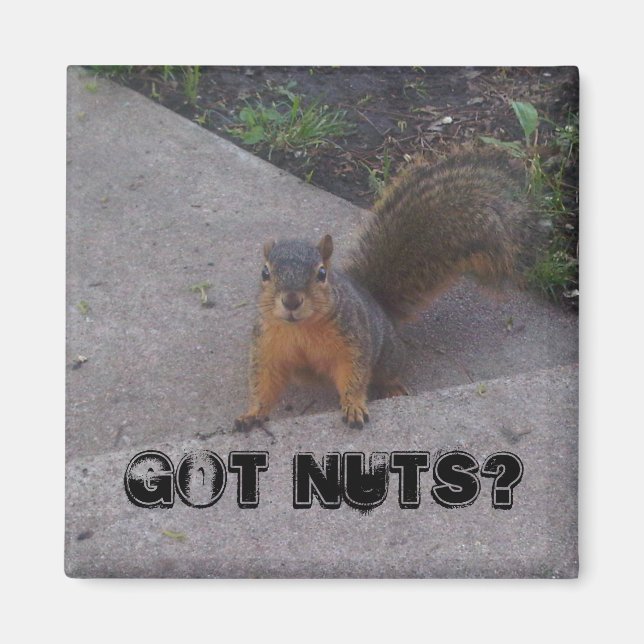 Squirrel Magnet (Front)
