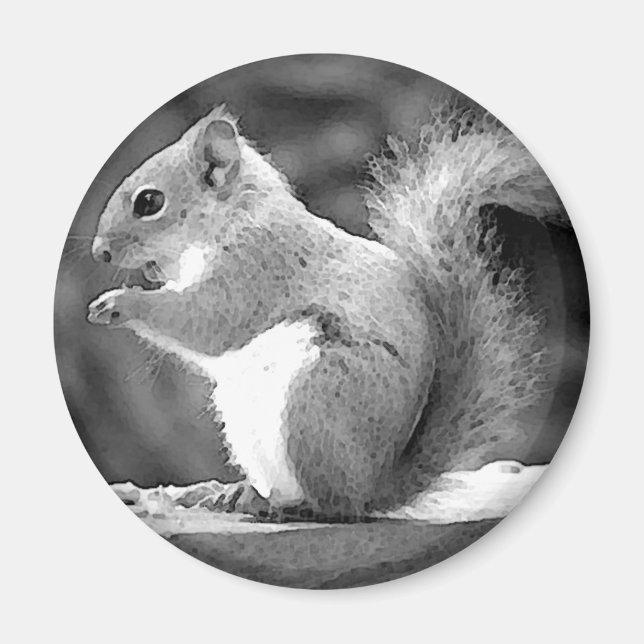 Squirrel Magnet (Front)