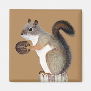 Squirrel Magnet