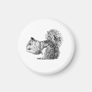 Squirrel Magnet