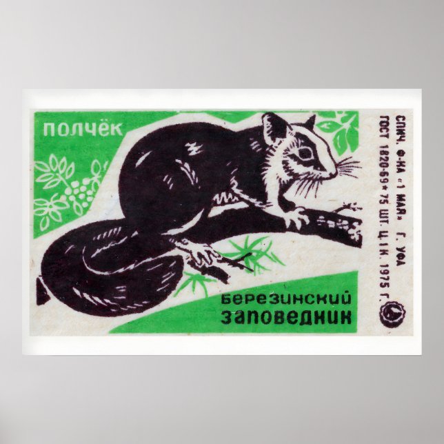 Squirrel - Matchbox Print - Aesthetic Wall Art (Front)