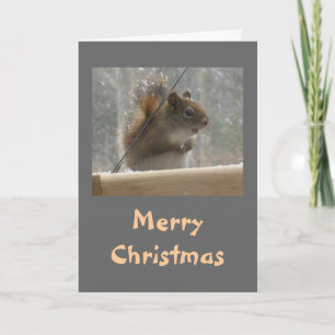 Squirrel Merry Christmas Holiday Card