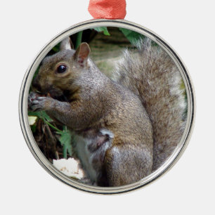 Squirrel Metal Tree Decoration