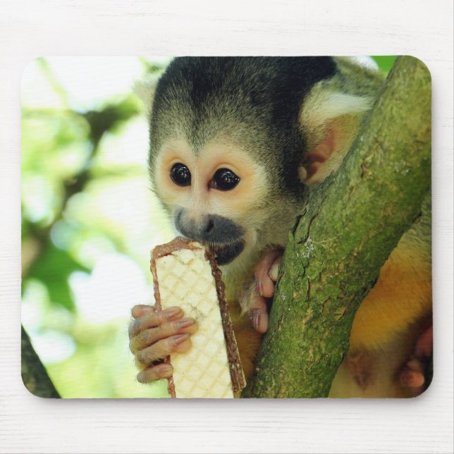 Squirrel Monkey Eating a Wafer Biscuit Mouse Mat (Front)