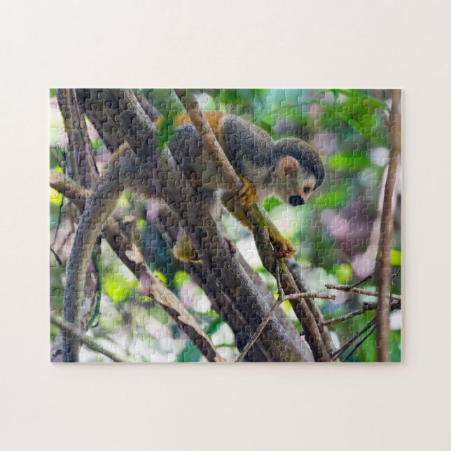 Squirrel monkey in Manuel Antonio NP - Costa Rica Jigsaw Puzzle (Horizontal)