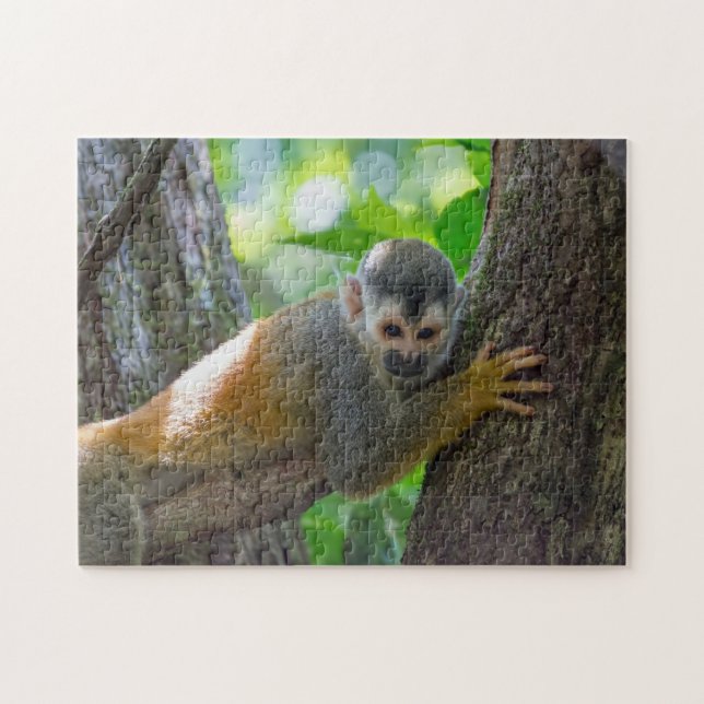 Squirrel monkey in Manuel Antonio NP - Costa Rica Jigsaw Puzzle (Horizontal)