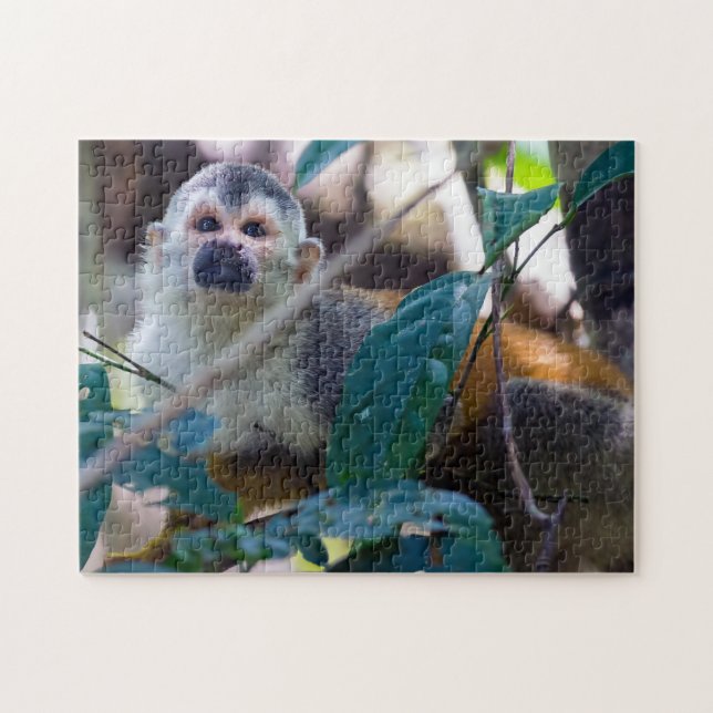 Squirrel monkey in Manuel Antonio NP - Costa Rica Jigsaw Puzzle (Horizontal)