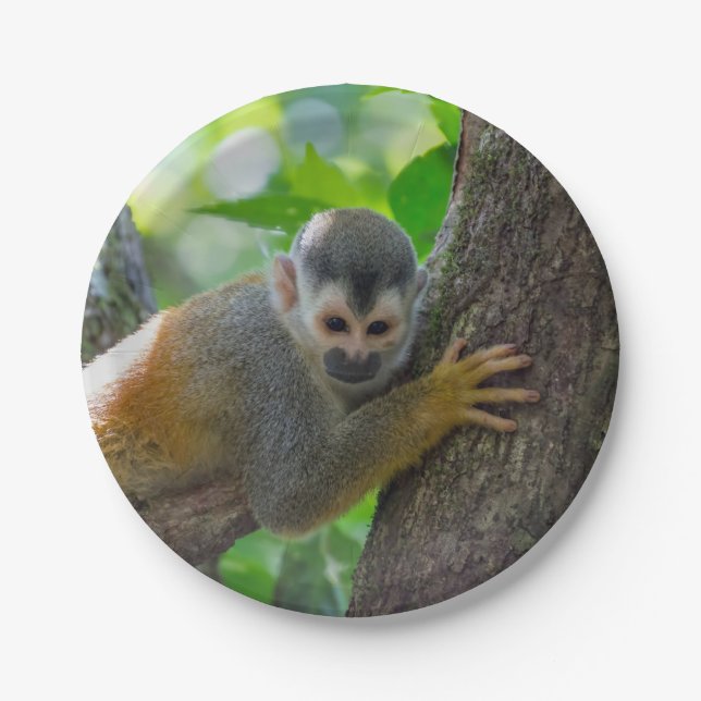 Squirrel monkey in Manuel Antonio NP - Costa Rica Paper Plate (Front)