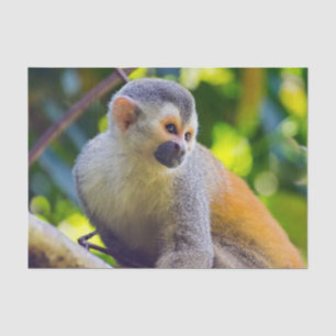 Squirrel monkey in Manuel Antonio NP - Costa Rica  Tissue Paper