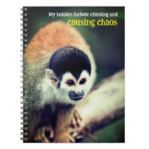 Squirrel monkey in tree