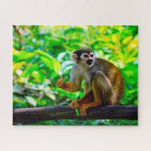Squirrel Monkey. Jigsaw Puzzle