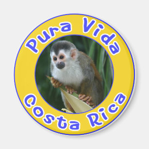 Squirrel Monkey, Pura Vida, Costa Rica Magnet