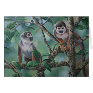 Squirrel Monkeys