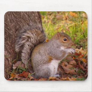 Squirrel Mosue Pad Mouse Mat