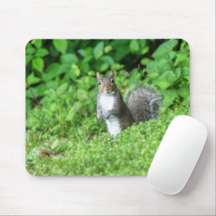 Squirrel Mouse Mat