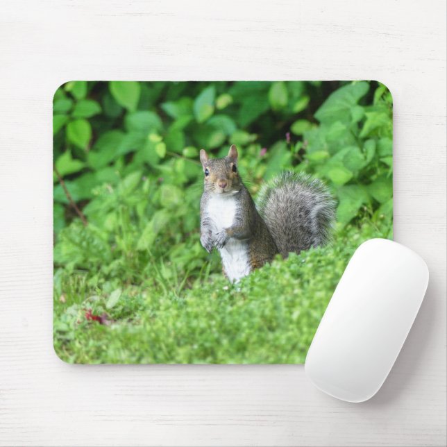 Squirrel Mouse Mat (With Mouse)