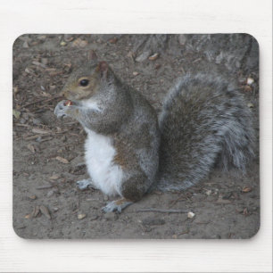 Squirrel Mouse Mat