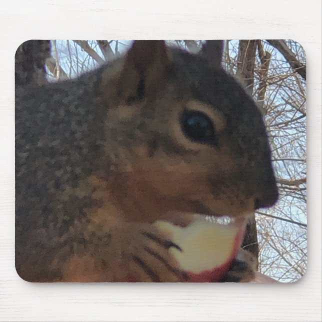 Squirrel  mouse mat (Front)