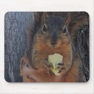 Squirrel Mouse Mat