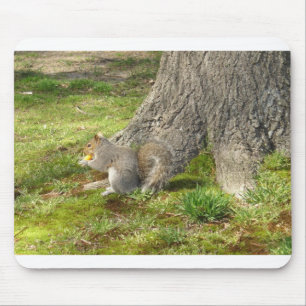 squirrel Mouse Pad