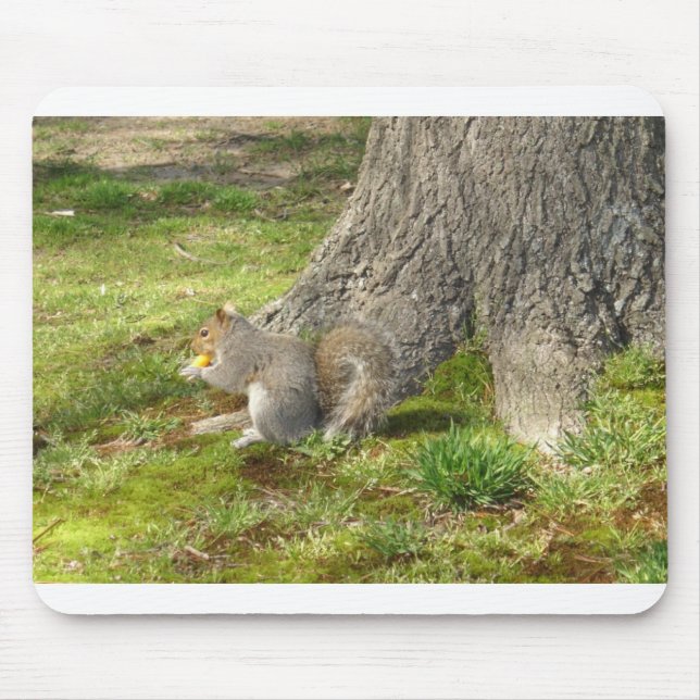 squirrel Mouse Pad (Front)