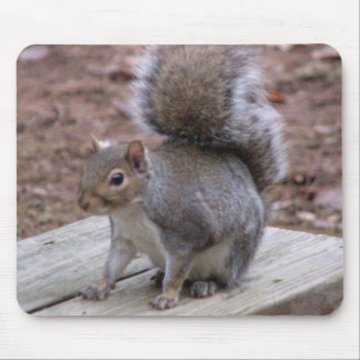 Squirrel Mouse pad