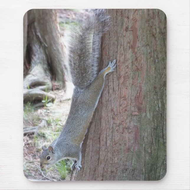 Squirrel Mouse pad (Front)