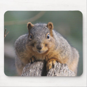 Squirrel mousepad