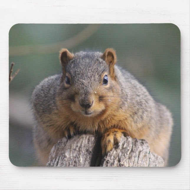Squirrel mousepad (Front)
