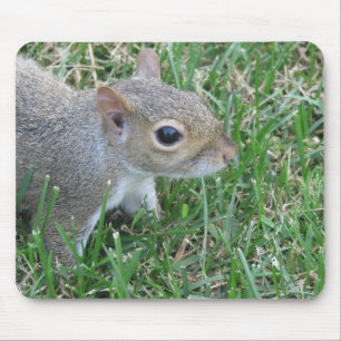 Squirrel Mousepad, featuring "Clicker" Mouse Mat