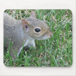 Squirrel Mousepad, featuring "Clicker" Mouse Mat