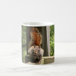 Squirrel mug