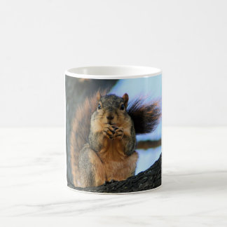 Squirrel Mug