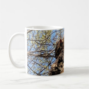 Squirrel Mugs